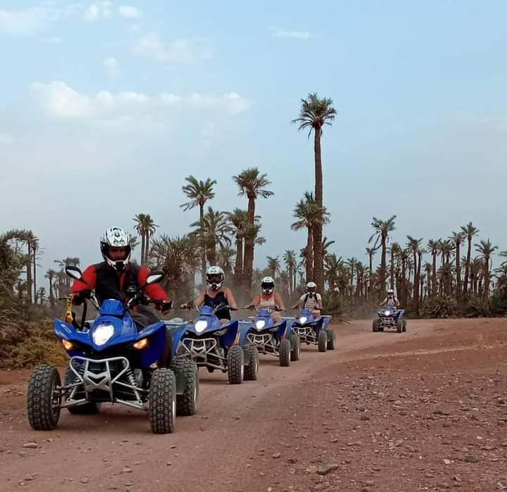 Quad (Oasis Palmeraie)